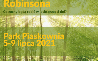 Przygoda Robinsona